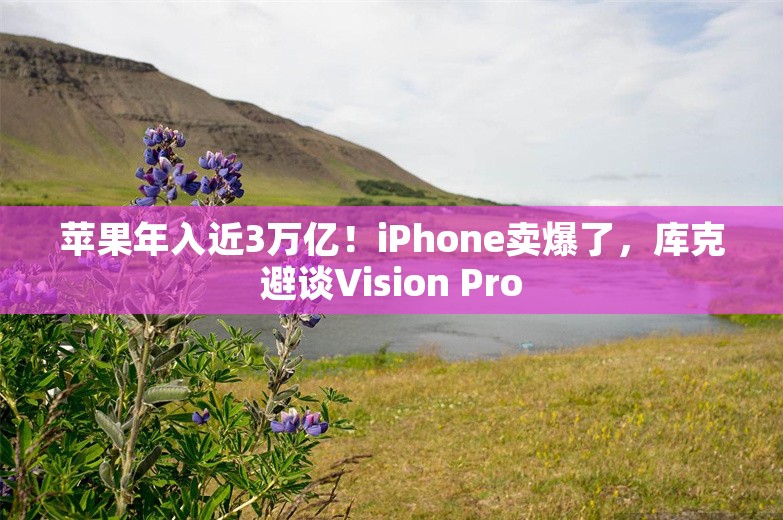 苹果年入近3万亿！iPhone卖爆了，库克避谈Vision Pro