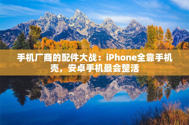 手机厂商的配件大战：iPhone全靠手机壳，安卓手机最会整活