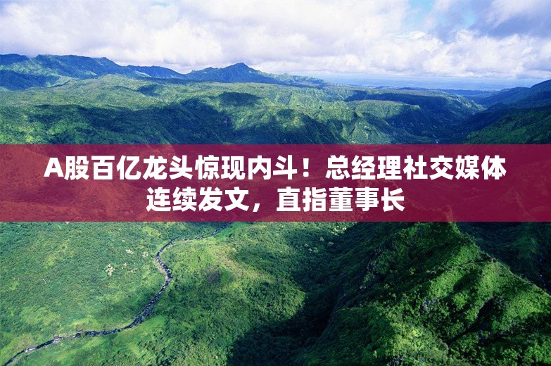 A股百亿龙头惊现内斗！总经理社交媒体连续发文，直指董事长