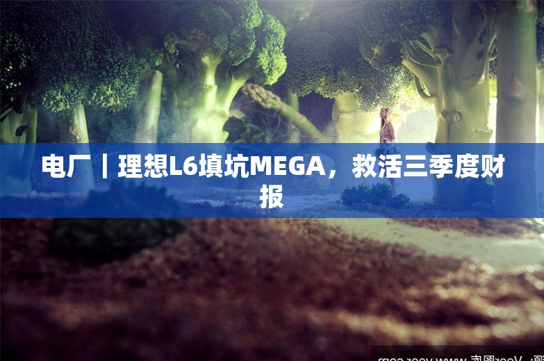 电厂｜理想L6填坑MEGA，救活三季度财报