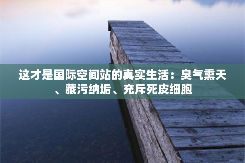 这才是国际空间站的真实生活：臭气熏天、藏污纳垢、充斥死皮细胞