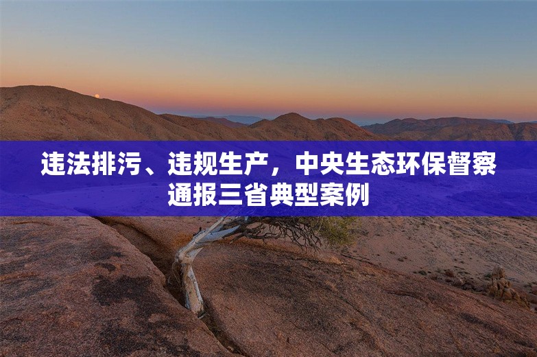 违法排污、违规生产，中央生态环保督察通报三省典型案例