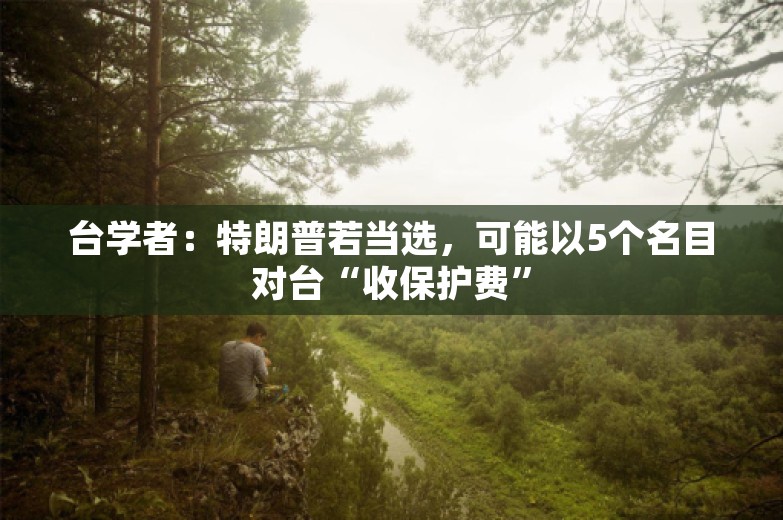 台学者：特朗普若当选，可能以5个名目对台“收保护费”