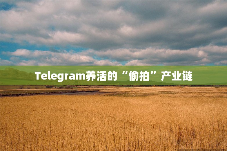 Telegram养活的“偷拍”产业链