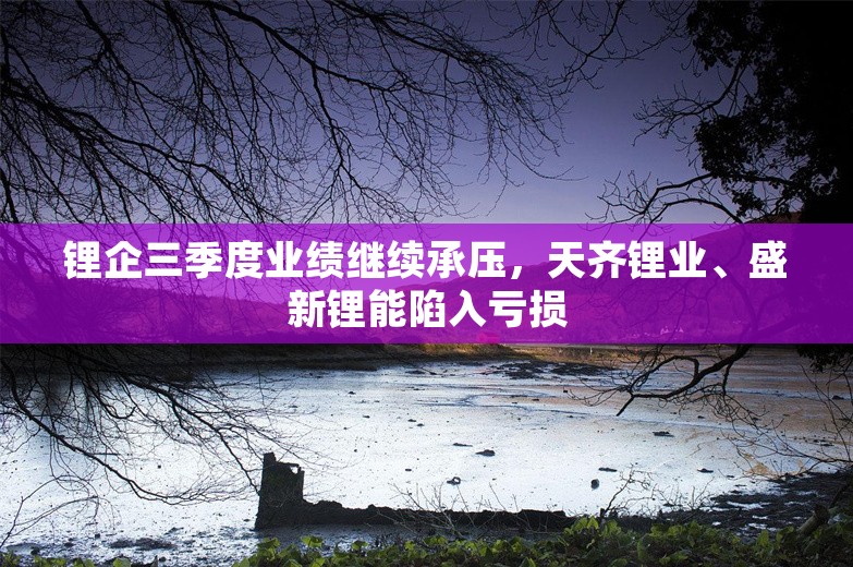 锂企三季度业绩继续承压，天齐锂业、盛新锂能陷入亏损