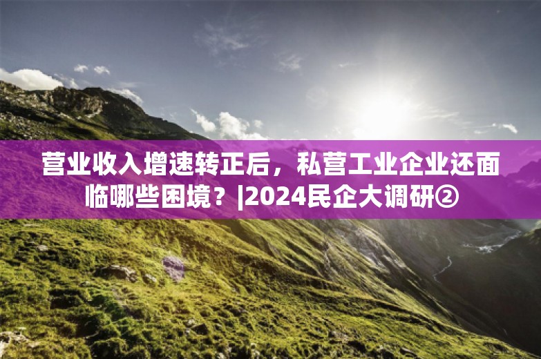 营业收入增速转正后，私营工业企业还面临哪些困境？|2024民企大调研②