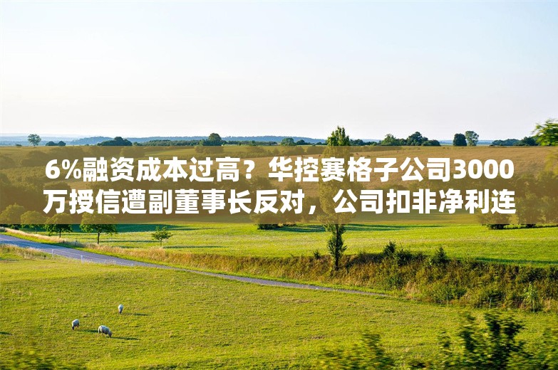 6%融资成本过高？华控赛格子公司3000万授信遭副董事长反对，公司扣非净利连亏六年