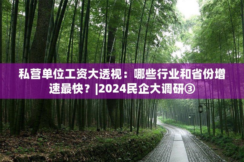 私营单位工资大透视：哪些行业和省份增速最快？|2024民企大调研③