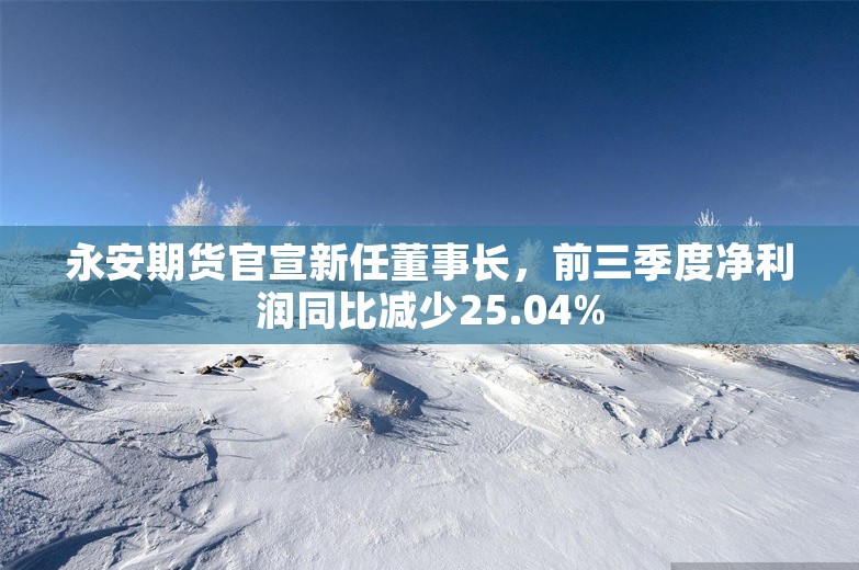 永安期货官宣新任董事长，前三季度净利润同比减少25.04%