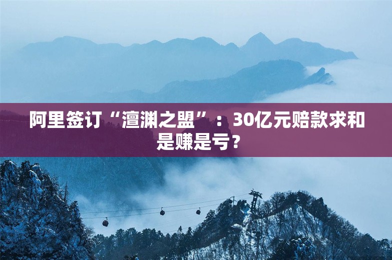 阿里签订“澶渊之盟”：30亿元赔款求和 是赚是亏？