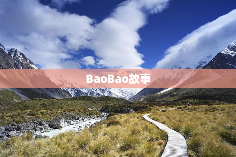 BaoBao故事