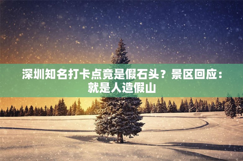 深圳知名打卡点竟是假石头？景区回应：就是人造假山