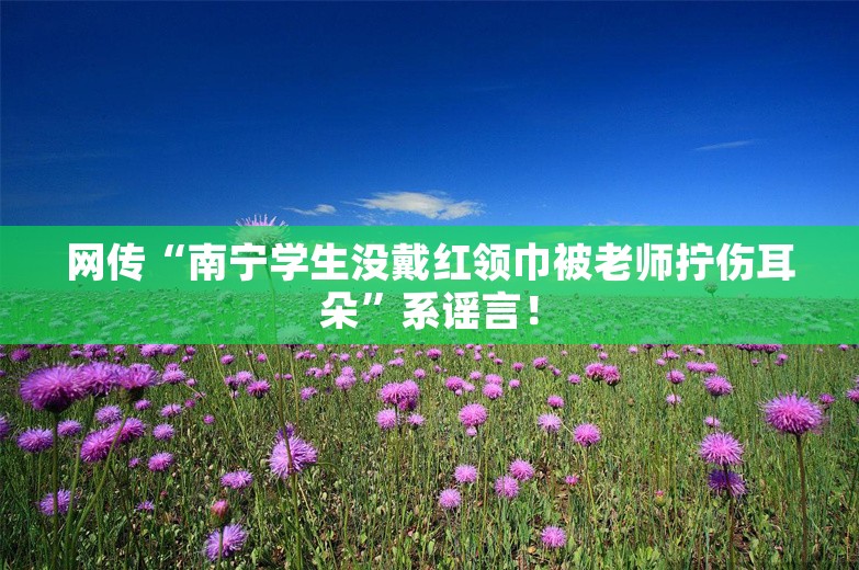 网传“南宁学生没戴红领巾被老师拧伤耳朵”系谣言！