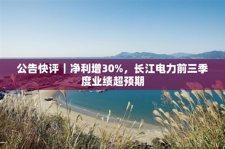 公告快评｜净利增30%，长江电力前三季度业绩超预期