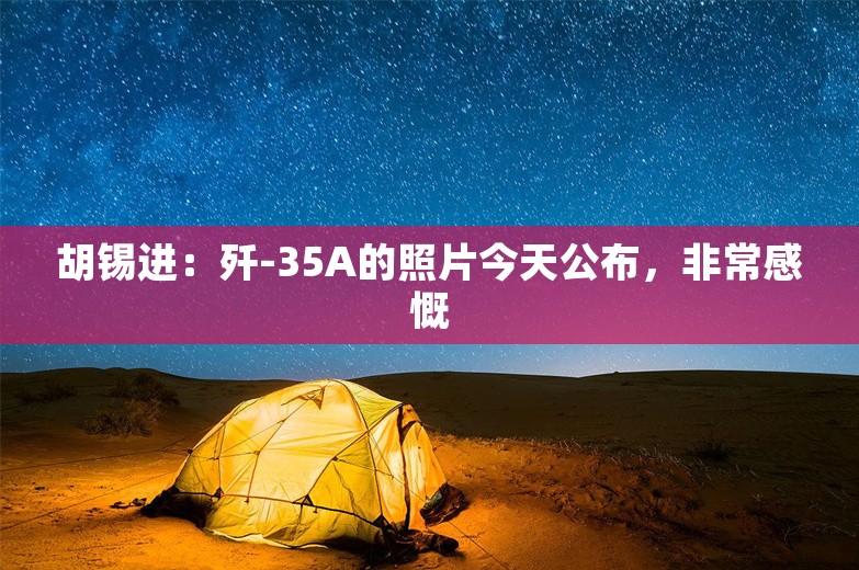 胡锡进：歼-35A的照片今天公布，非常感慨