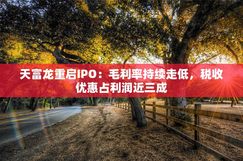 天富龙重启IPO：毛利率持续走低，税收优惠占利润近三成