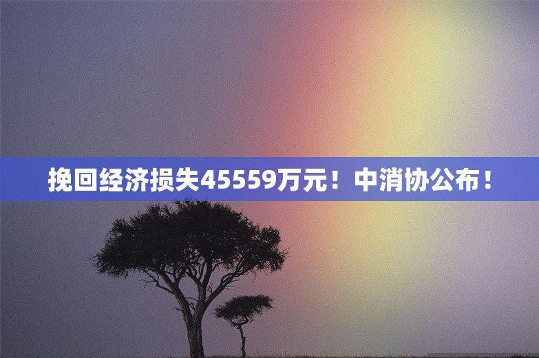 挽回经济损失45559万元！中消协公布！