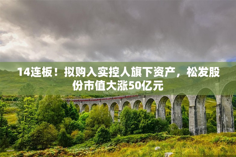 14连板！拟购入实控人旗下资产，松发股份市值大涨50亿元