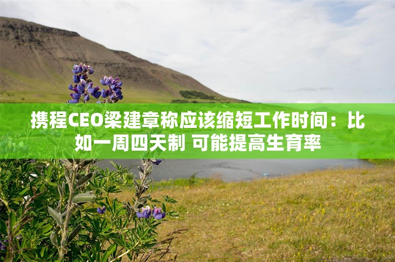 携程CEO梁建章称应该缩短工作时间：比如一周四天制 可能提高生育率