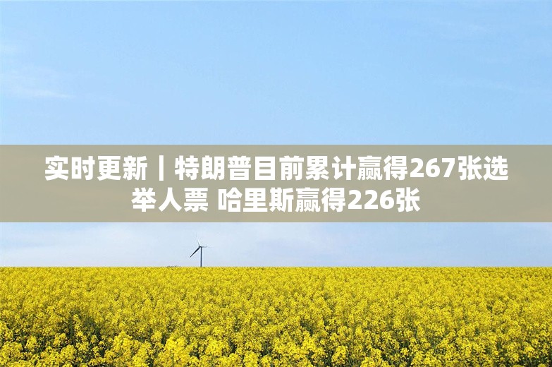 实时更新｜特朗普目前累计赢得267张选举人票 哈里斯赢得226张