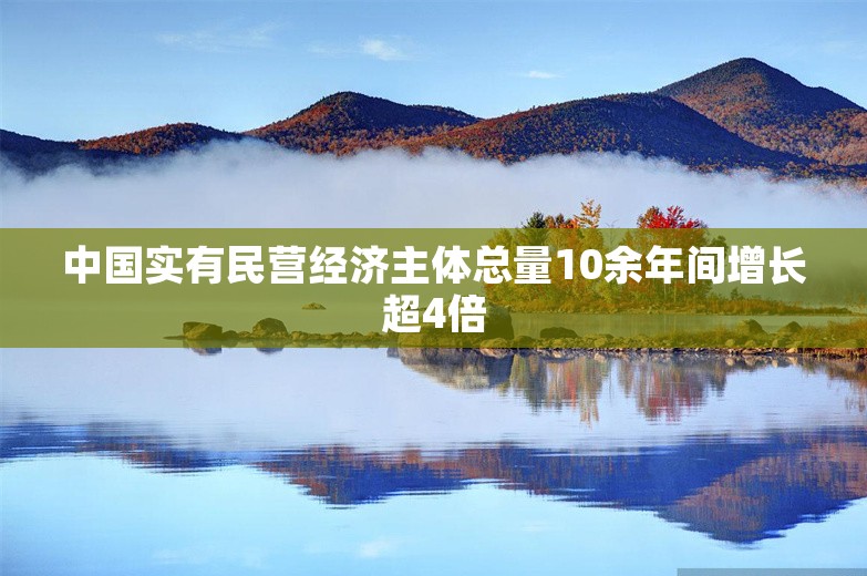 中国实有民营经济主体总量10余年间增长超4倍