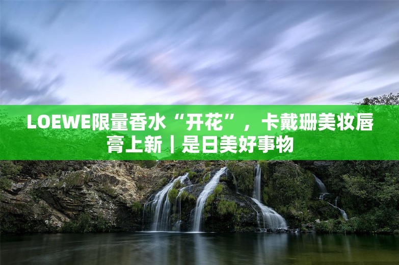 LOEWE限量香水“开花”，卡戴珊美妆唇膏上新｜是日美好事物