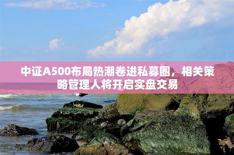 中证A500布局热潮卷进私募圈，相关策略管理人将开启实盘交易