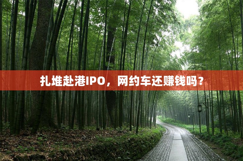 扎堆赴港IPO，网约车还赚钱吗？