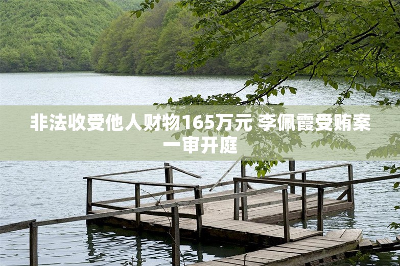 非法收受他人财物165万元 李佩霞受贿案一审开庭