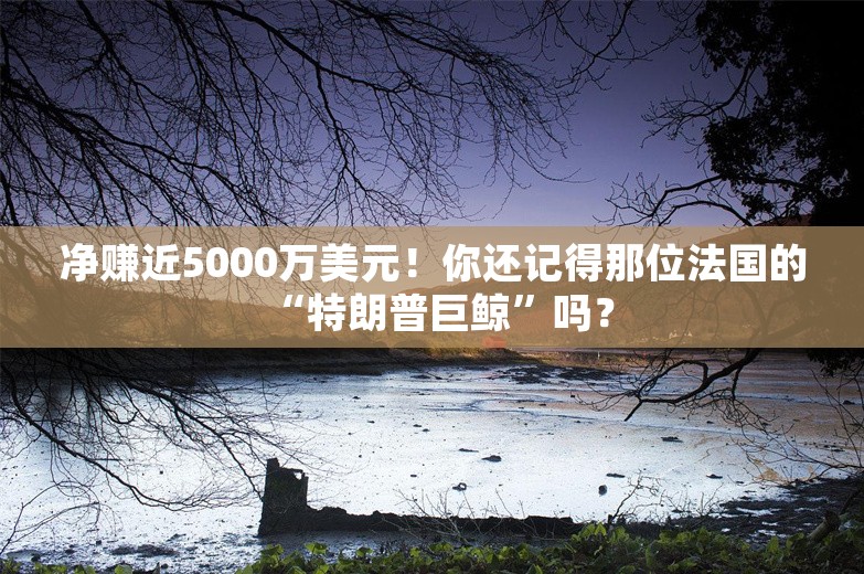 净赚近5000万美元！你还记得那位法国的“特朗普巨鲸”吗？