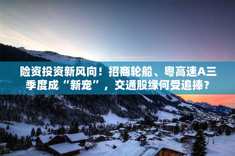 险资投资新风向！招商轮船、粤高速A三季度成“新宠”，交通股缘何受追捧？