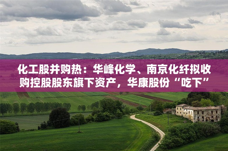 化工股并购热：华峰化学、南京化纤拟收购控股股东旗下资产，华康股份“吃下”同行