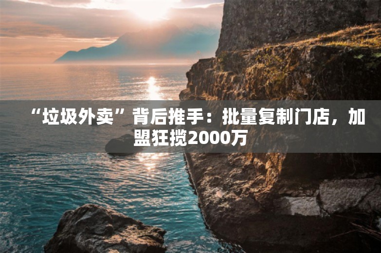 “垃圾外卖”背后推手：批量复制门店，加盟狂揽2000万