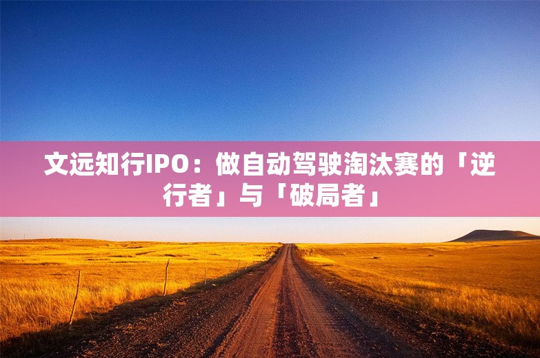 文远知行IPO：做自动驾驶淘汰赛的「逆行者」与「破局者」