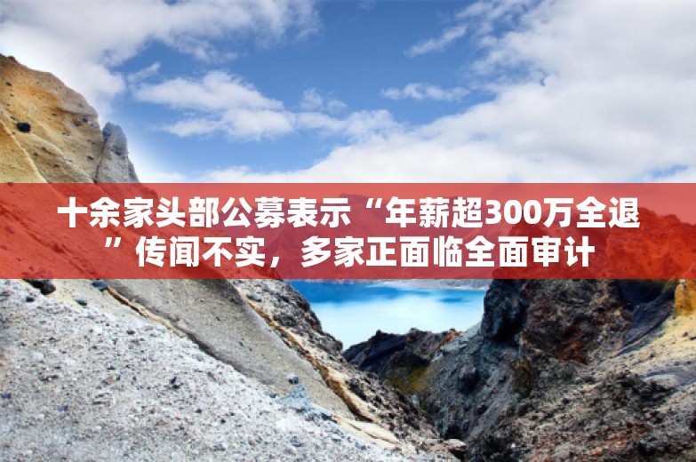 十余家头部公募表示“年薪超300万全退”传闻不实，多家正面临全面审计