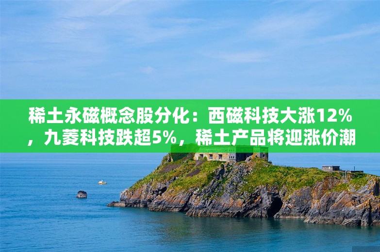 稀土永磁概念股分化：西磁科技大涨12%，九菱科技跌超5%，稀土产品将迎涨价潮？