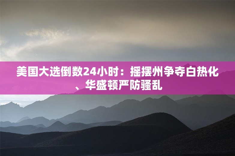 美国大选倒数24小时：摇摆州争夺白热化、华盛顿严防骚乱