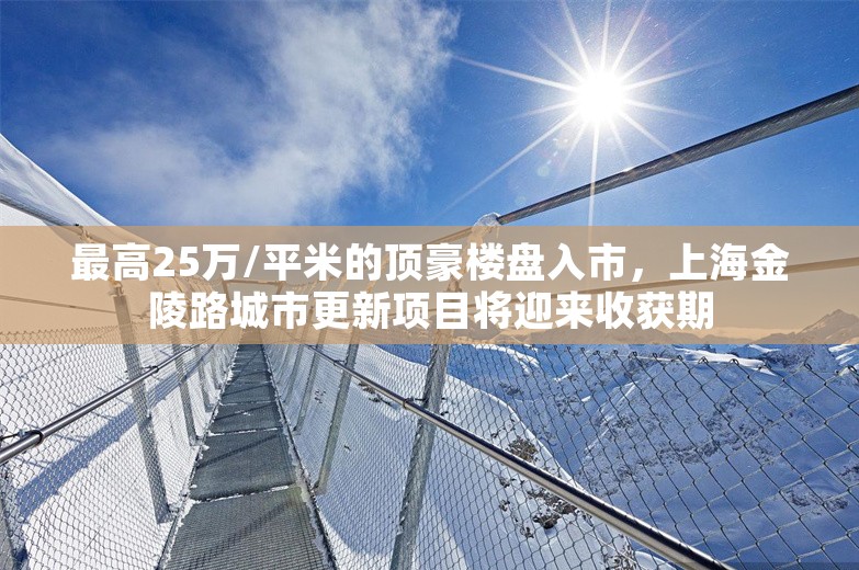 最高25万/平米的顶豪楼盘入市，上海金陵路城市更新项目将迎来收获期