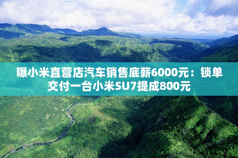 曝小米直营店汽车销售底薪6000元：锁单交付一台小米SU7提成800元