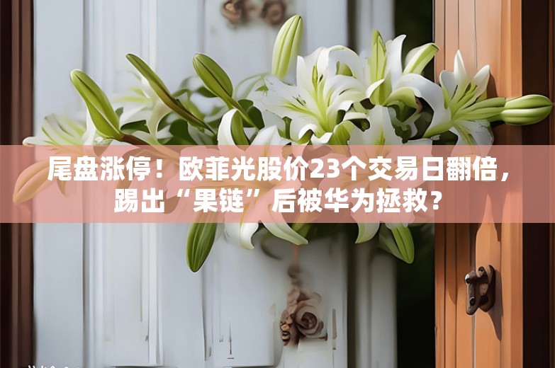 尾盘涨停！欧菲光股价23个交易日翻倍，踢出“果链”后被华为拯救？