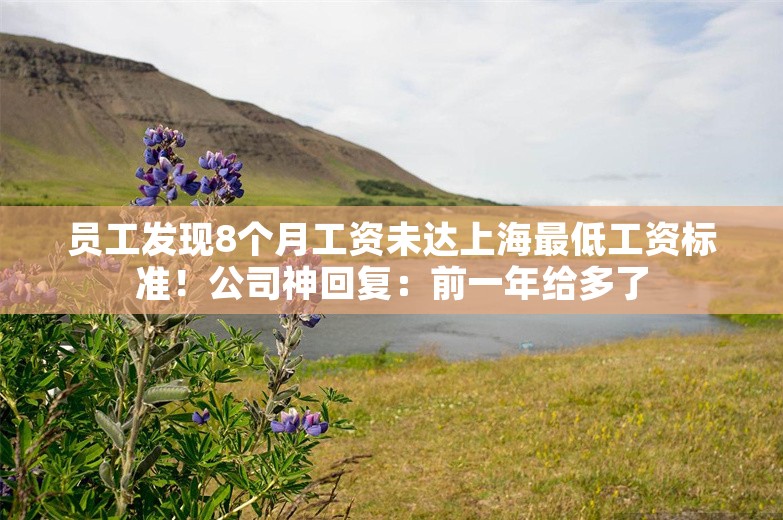 员工发现8个月工资未达上海最低工资标准！公司神回复：前一年给多了