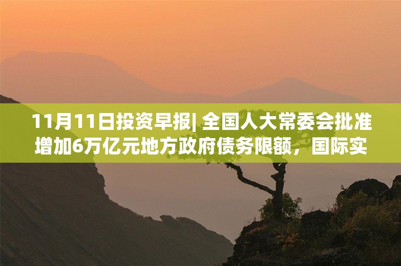 11月11日投资早报| 全国人大常委会批准增加6万亿元地方政府债务限额，国际实业拟收购新疆怡宝矿产80%股权，海联讯拟吸收合并杭汽轮股票复牌