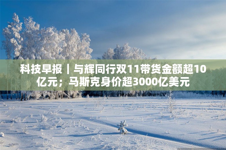 科技早报｜与辉同行双11带货金额超10亿元；马斯克身价超3000亿美元