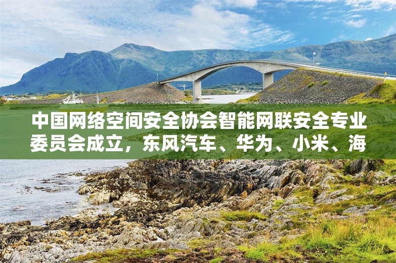 中国网络空间安全协会智能网联安全专业委员会成立，东风汽车、华为、小米、海尔等发起