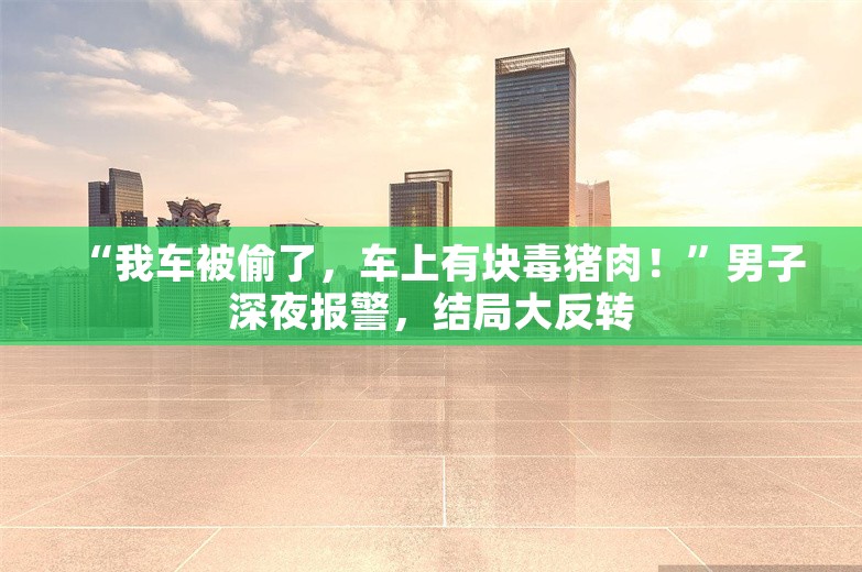 “我车被偷了，车上有块毒猪肉！”男子深夜报警，结局大反转