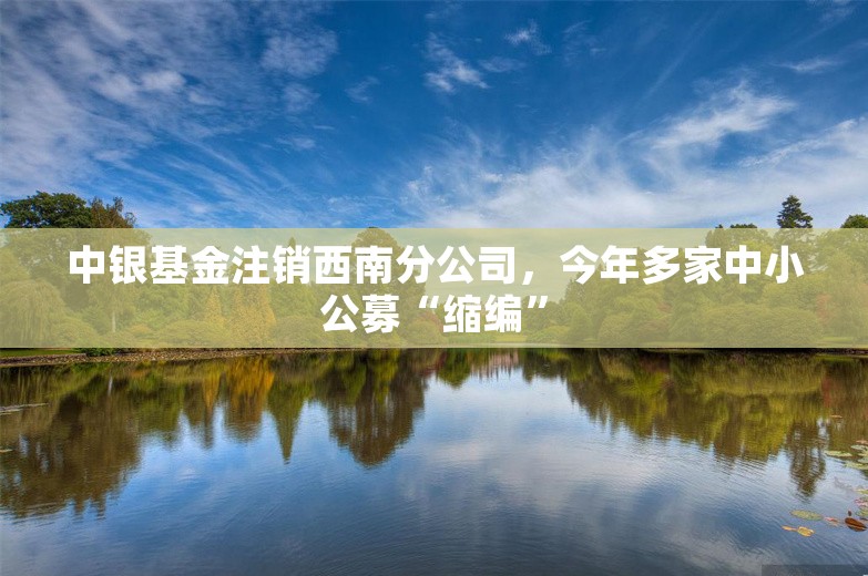 中银基金注销西南分公司，今年多家中小公募“缩编”