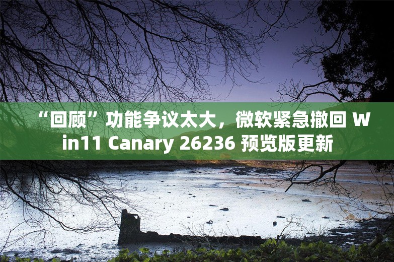 “回顾”功能争议太大，微软紧急撤回 Win11 Canary 26236 预览版更新