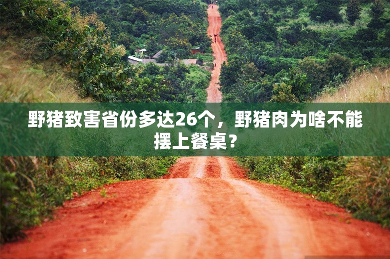 野猪致害省份多达26个，野猪肉为啥不能摆上餐桌？