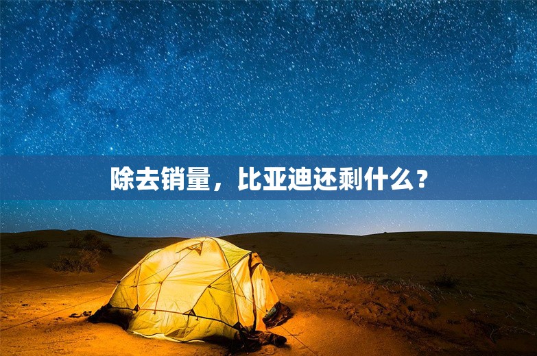 除去销量，比亚迪还剩什么？