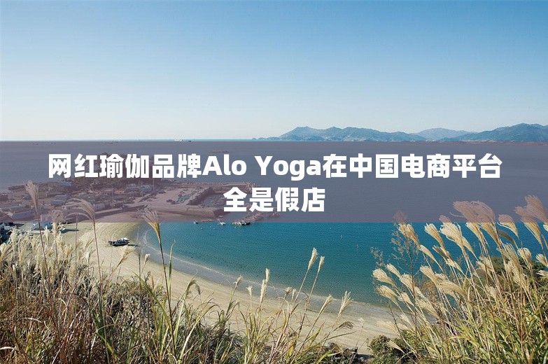 网红瑜伽品牌Alo Yoga在中国电商平台全是假店